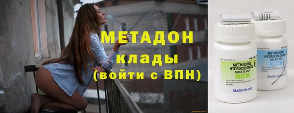 индика Аркадак