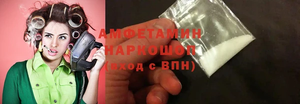 индика Аркадак