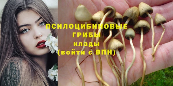 кокс Армянск