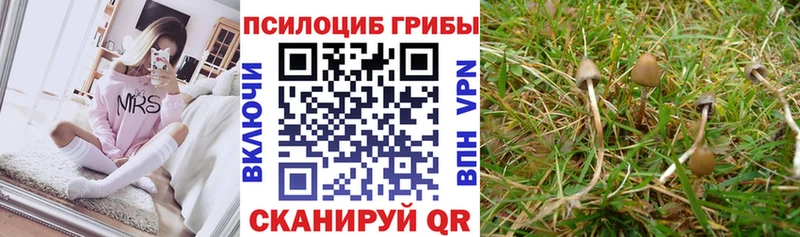 Псилоцибиновые грибы GOLDEN TEACHER  дарнет шоп  Галич 